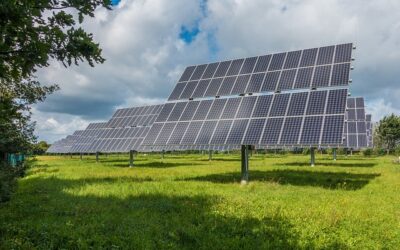Sunvigo – Ein Beispiel für die Solarbranche